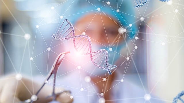 Creation of new gene sequences leads to new RNA and protein products