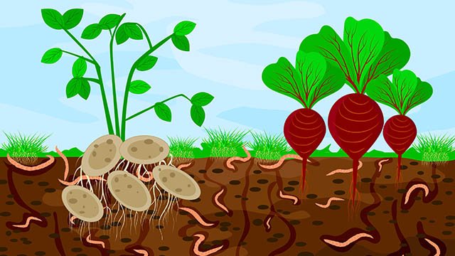 GMOs don’t belong in the soil [VIDEO]